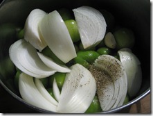 Salsa Verde Before Cooking (2)
